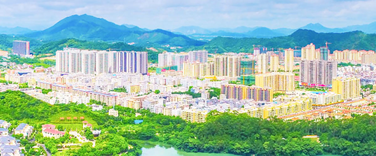 yangchun2